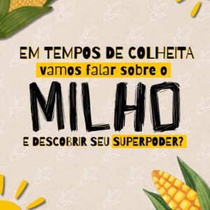 Em tempos de colheita, vamos falar sobre o Milho e descobrir seu superpoder?
